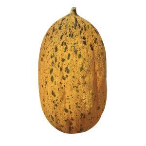 50681