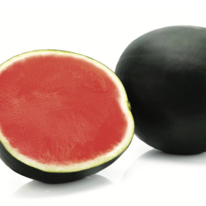 Ekran Resmi 2023-11-13 17.33.53