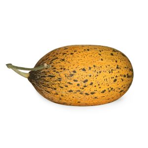 dilan